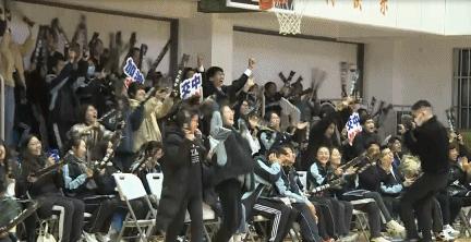 我们为什么热爱体育比赛？这里或许有更深层的答案