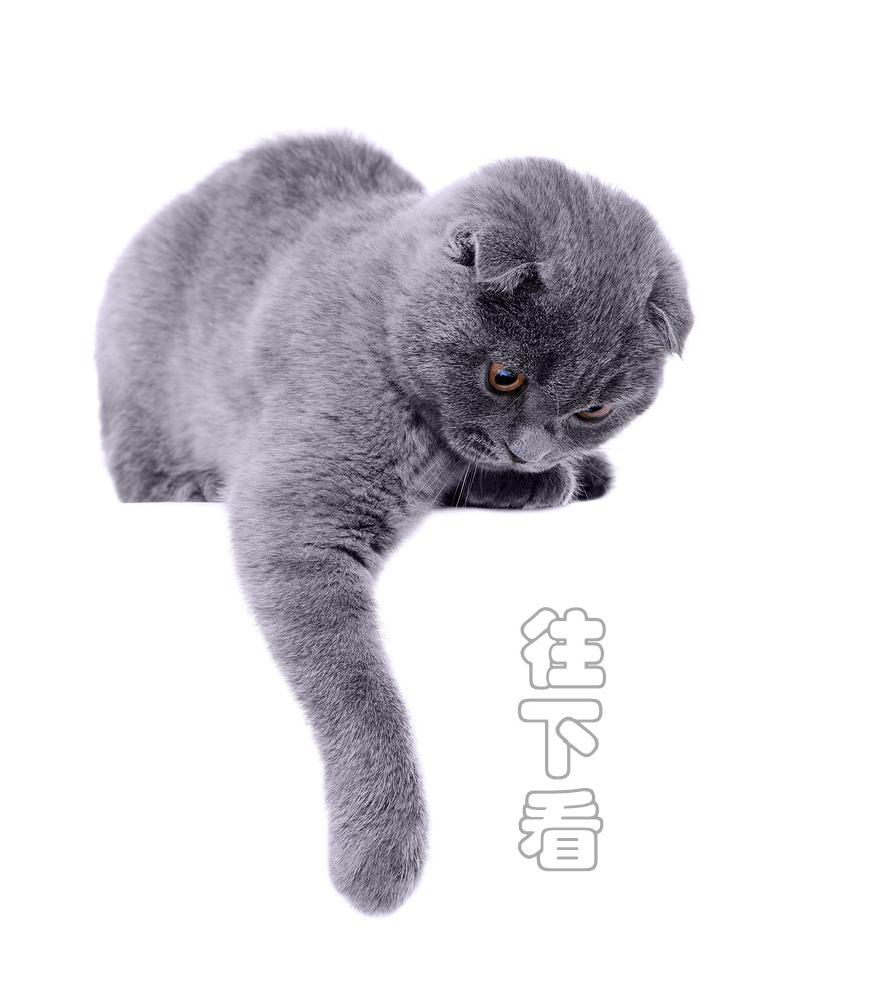 现在网上几十元名牌包是真的吗,一个名牌包的成本