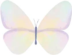 朋友圈防晒霜推荐文案,朋友圈代购买到假货文案