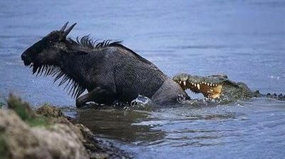 千股跌停做空赚钱吗,千股跌停值得买吗