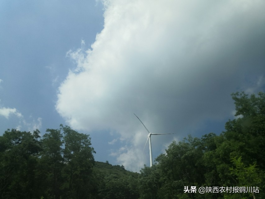 朱百强个人资料,朱百强