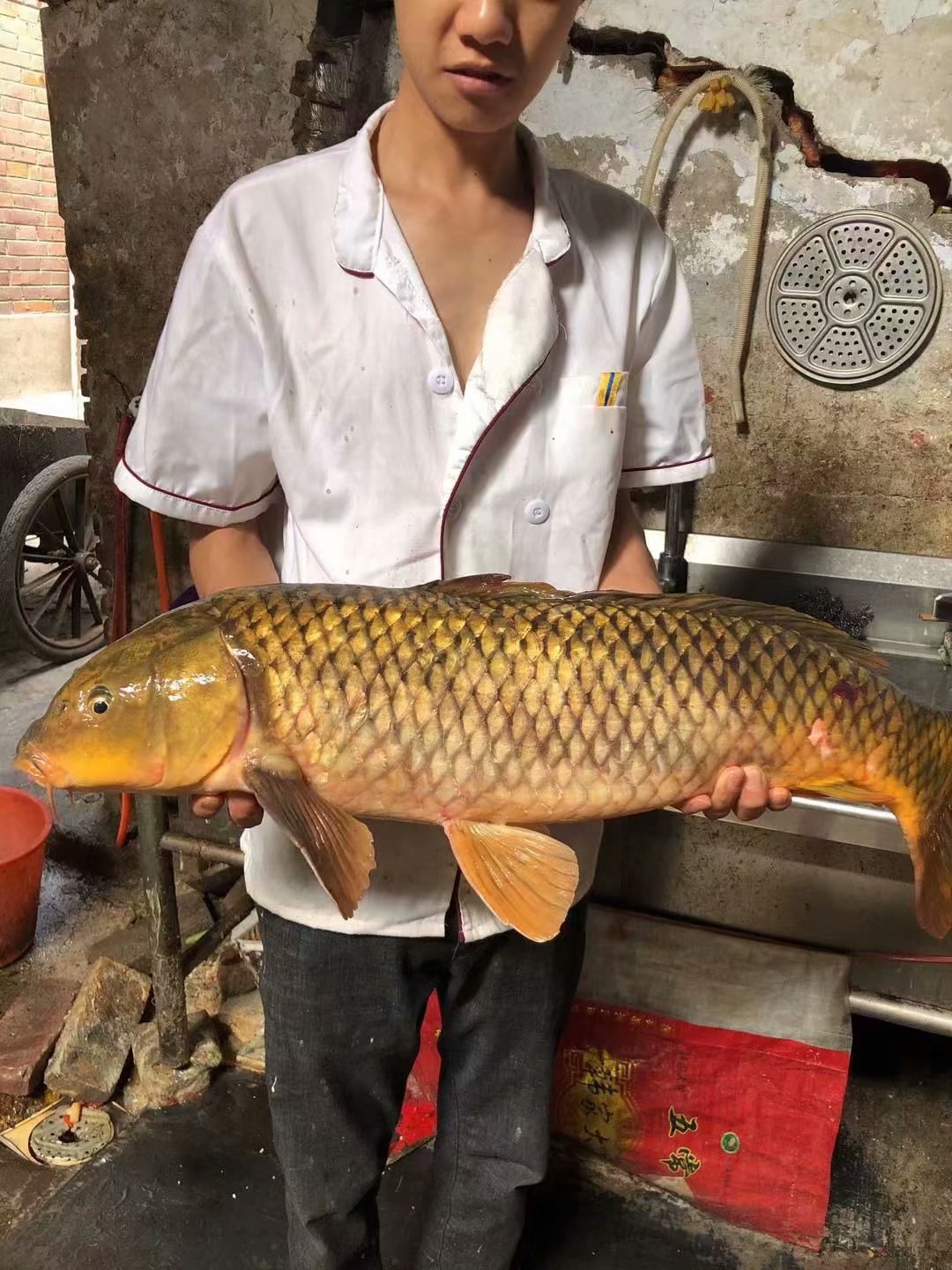 晚春下雨钓鲤鱼钓深还是钓浅,晚春水库钓鲤鱼最佳位置图