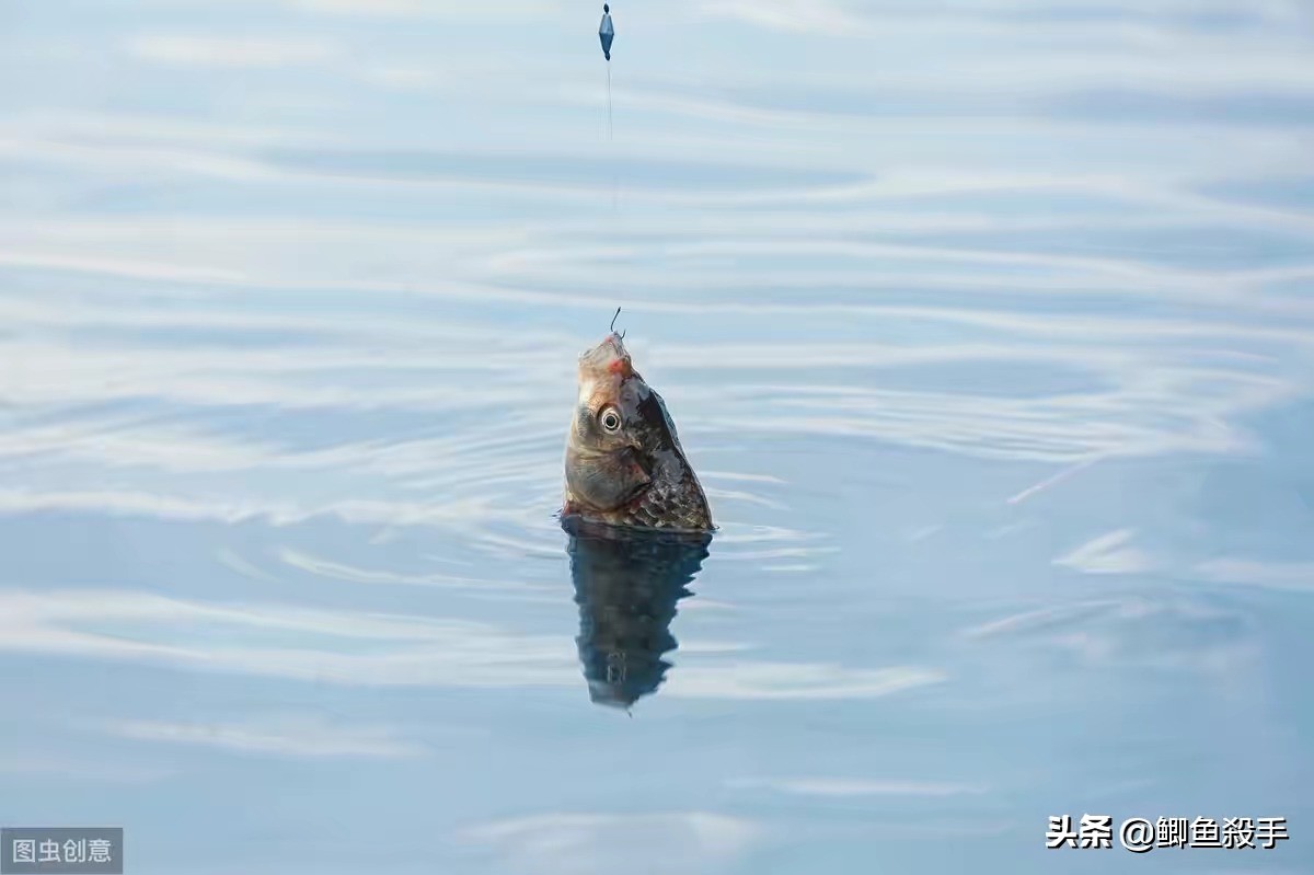 冬天钓鱼的方法技巧大全,冬季钓鱼方法与技巧大全图解