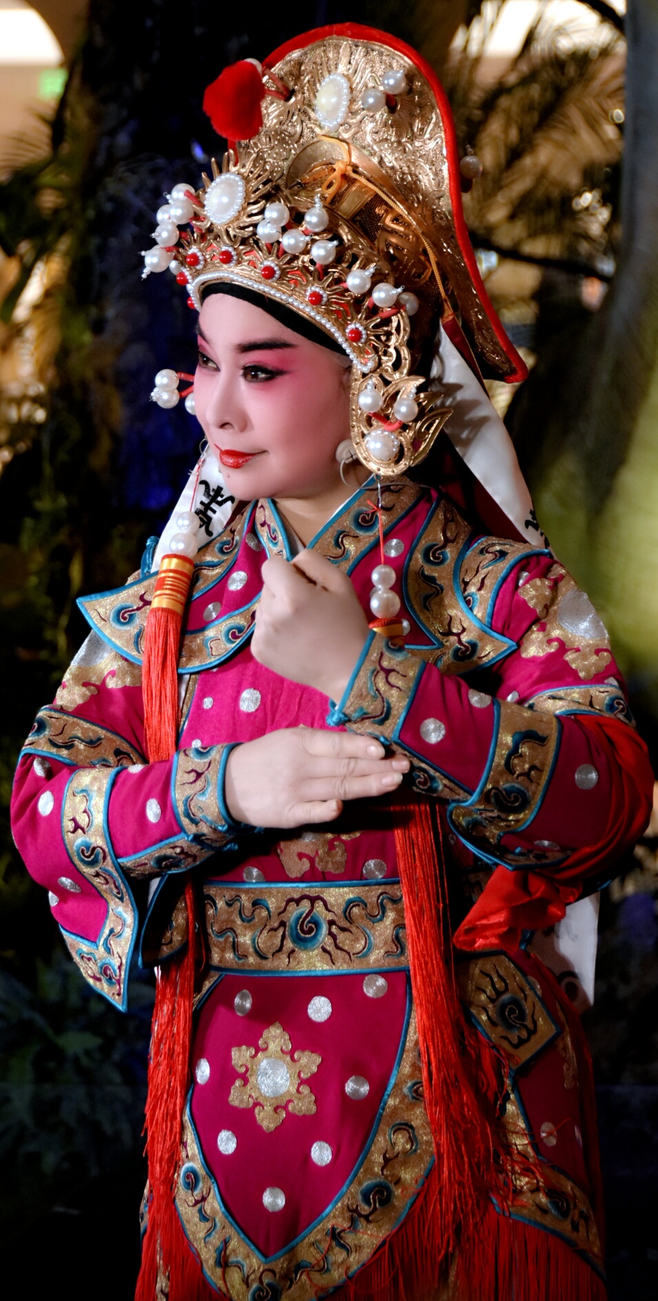 澶у笀寮熷瓙,澶у笀寮熷瓙鏀跺緬浠紡