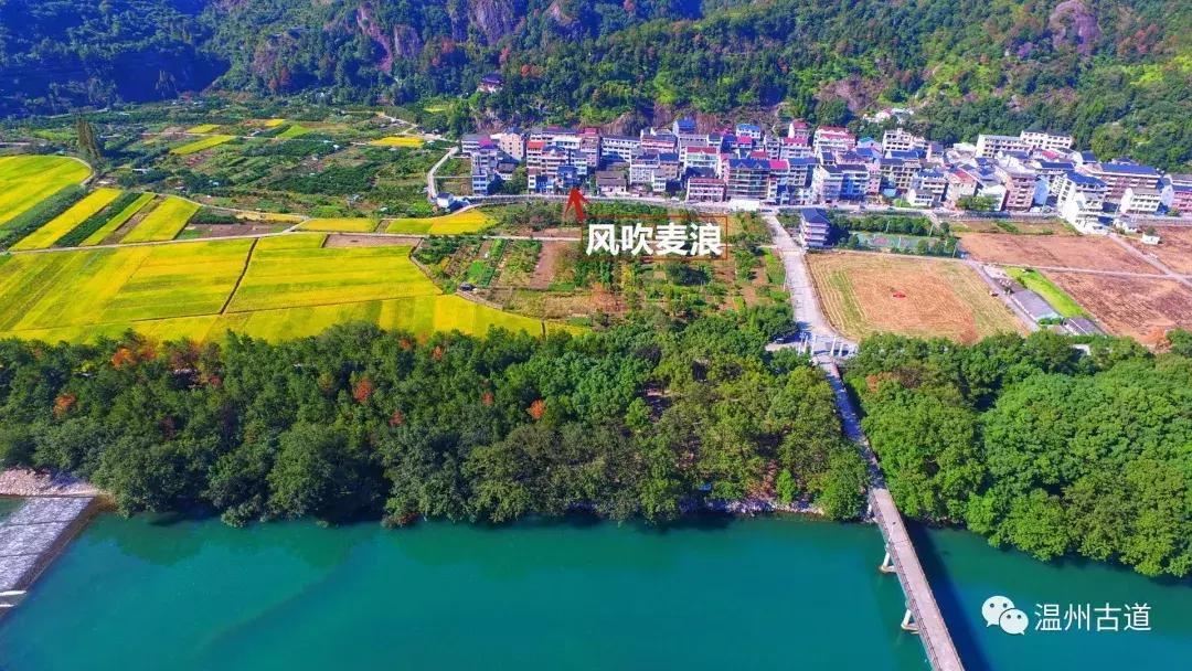 温州楠溪江好的主题民宿排名,楠溪江醉香楼客栈