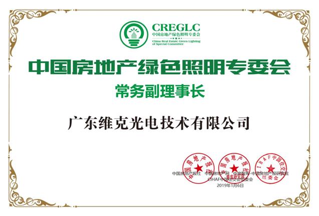 广东维克光电技术有限公司产品,广东维克光电厂怎么样