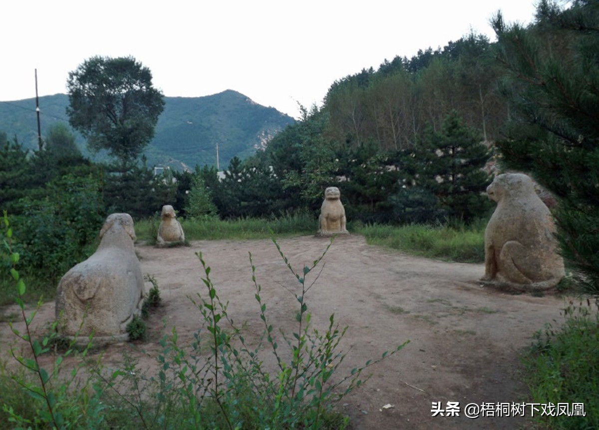 一个盗墓者的自述解说,一位盗墓者的自述实体书