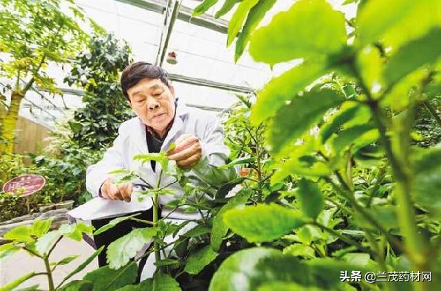植物学家刘正宇,刘正宇教授