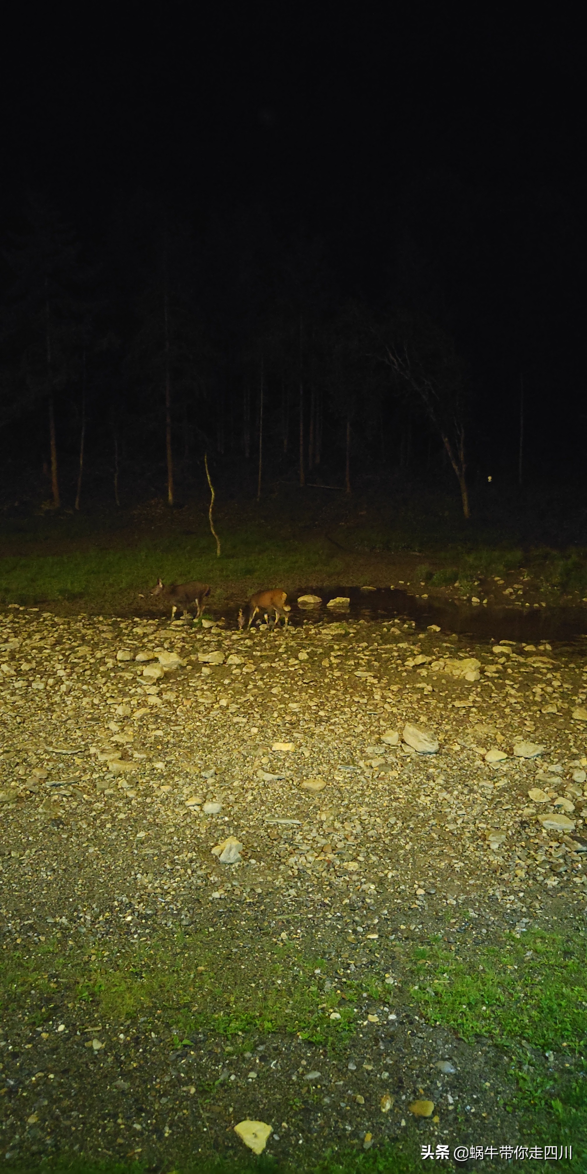 成都到西藏旅游一家三口,成都出发三天两夜旅行套票