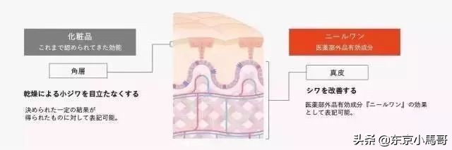 怡丽丝尔去皱效果好吗,世界干皮祛皱霜早晚十强