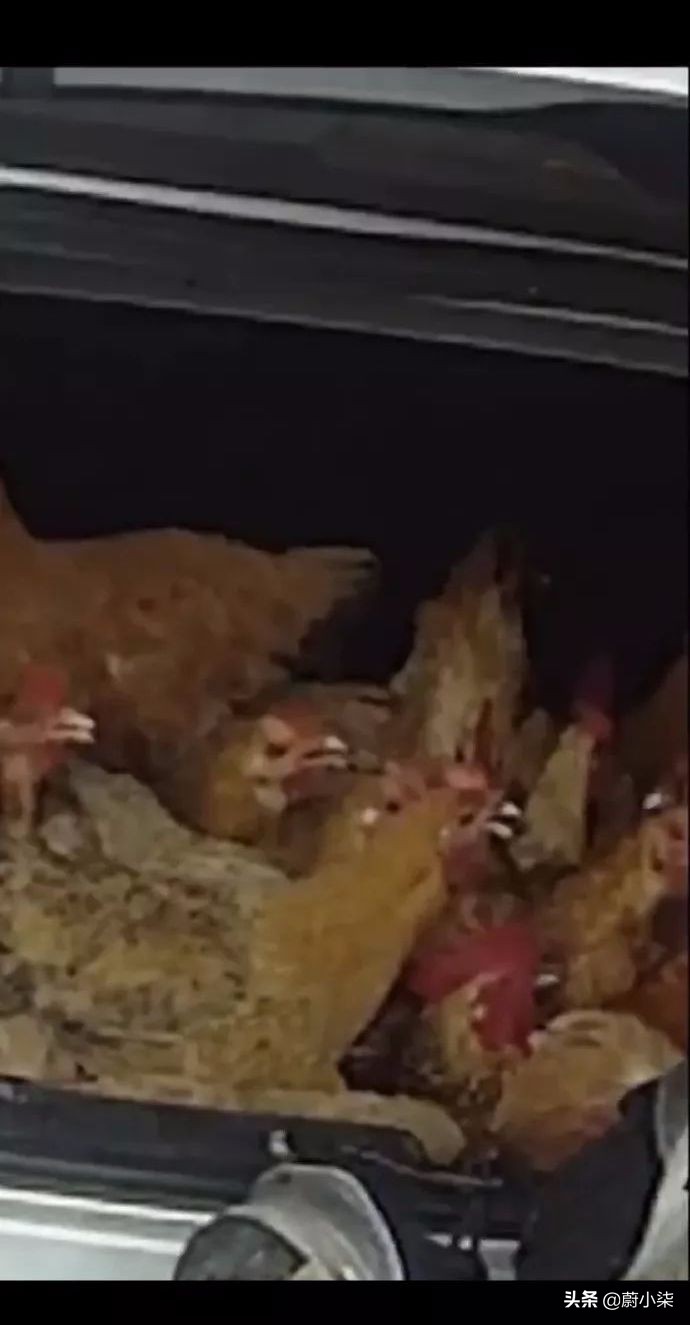 突然发现女友有纹身,男朋友前女友有纹身