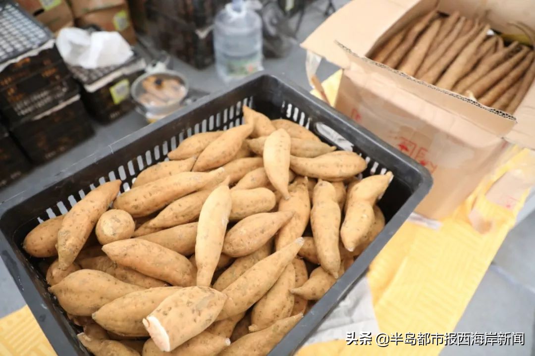 首届金沙滩啤酒城年货节开幕啦！最全攻略带你逛起来购年货