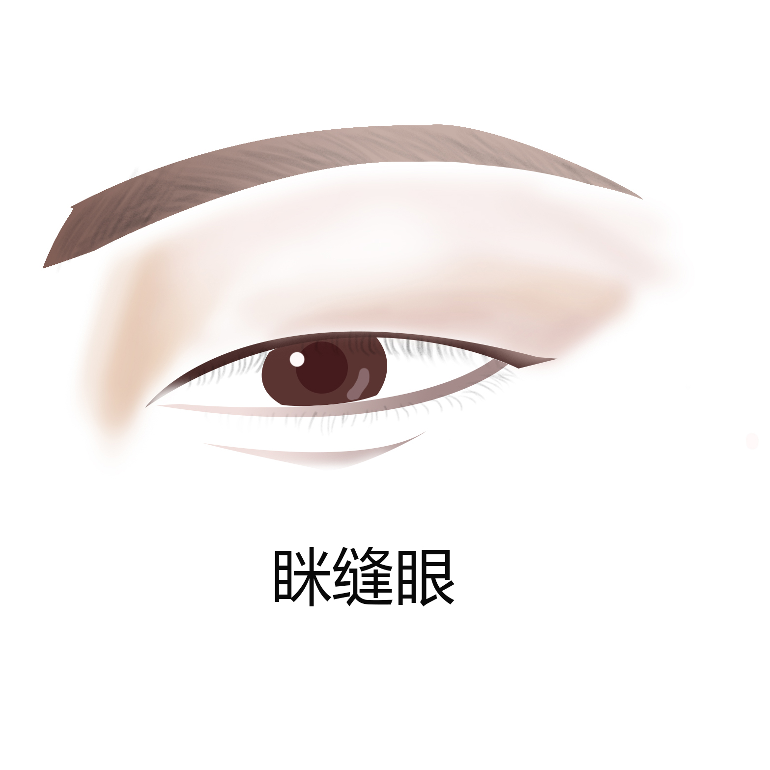 判断眼型的app,如何判断自己的眼型小测试