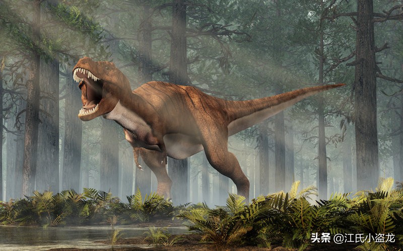 纯银版的霸王龙咬合力到底有多强,霸王龙奔跑的最大咬合力约是多少