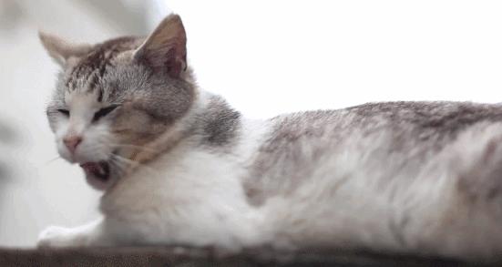 普通人怎么练习播音腔,一个普通人如何练出播音腔