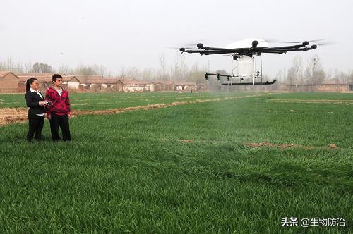 农业有害生物的防治方法,有害生物绿色防控