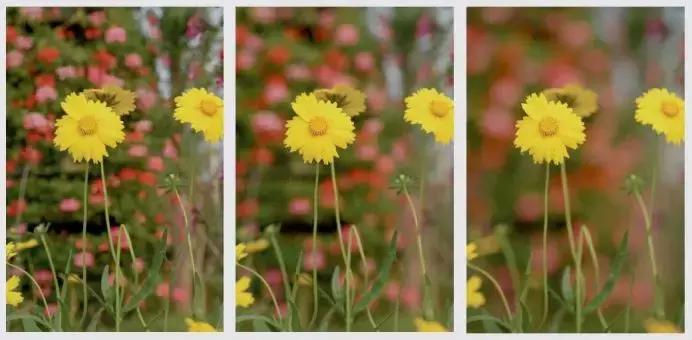 手机摄像头变焦和不变焦的区别,为什么苹果手机摄像比华为好