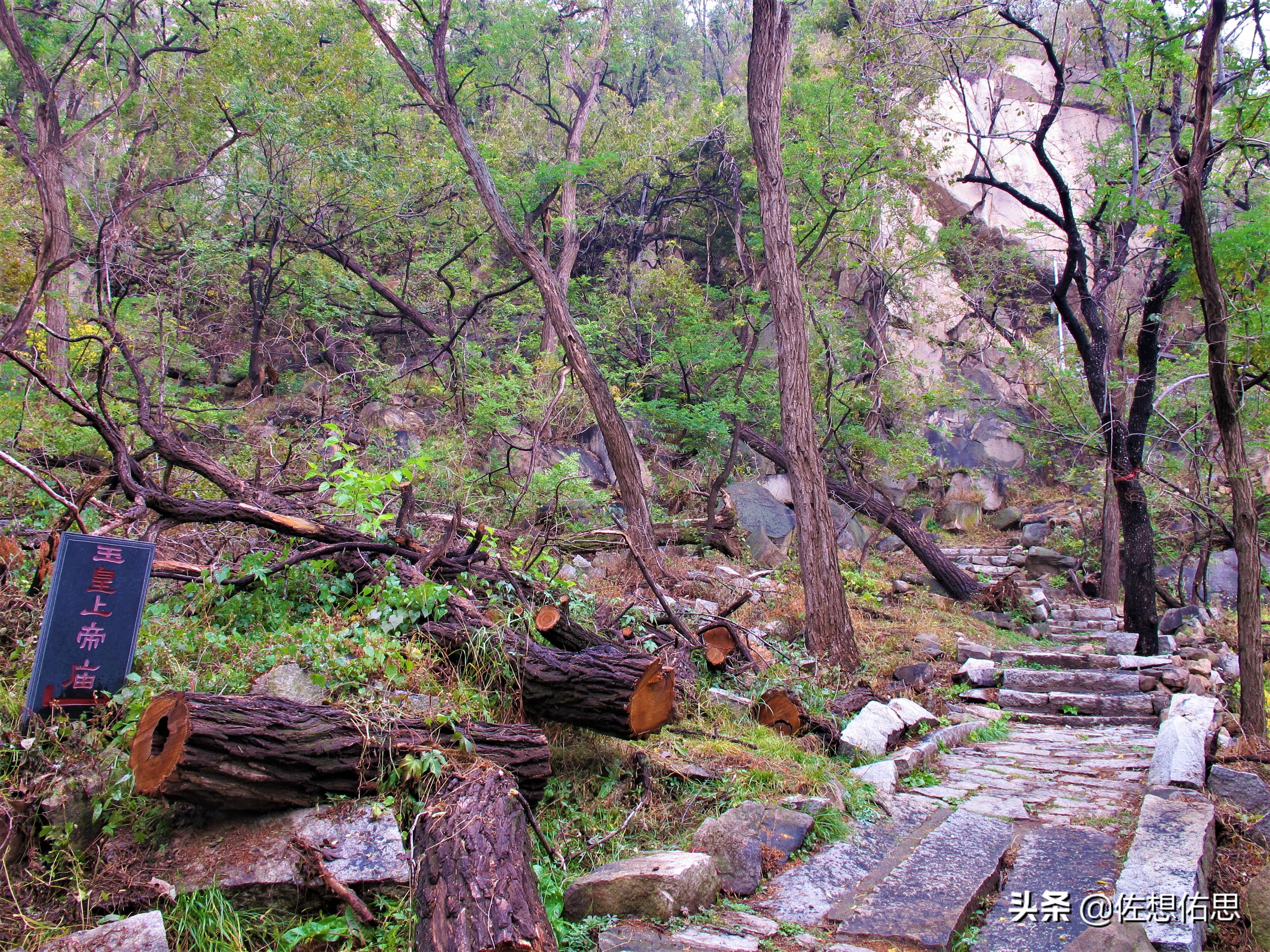扇子崖优惠,泰安扇子崖免门票吗