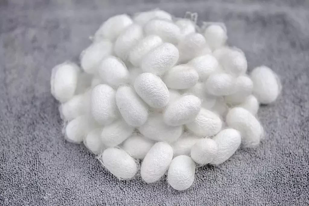 关于养蚕蚕丝被,养蚕人谈蚕丝被