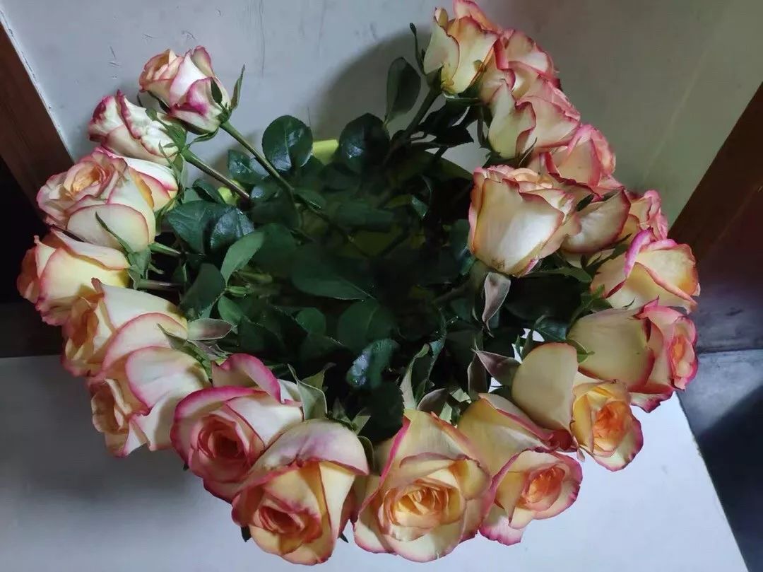 鲜花醒花前后怎么养好看,怎样醒花花期最长