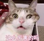 *血丝红**还有救吗？看完这篇你就知道啦