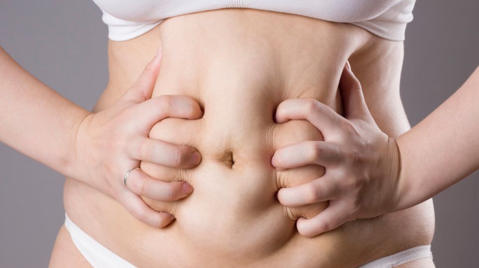 内胚中胚外胚怎么区别,外胚中胚内胚哪个好看