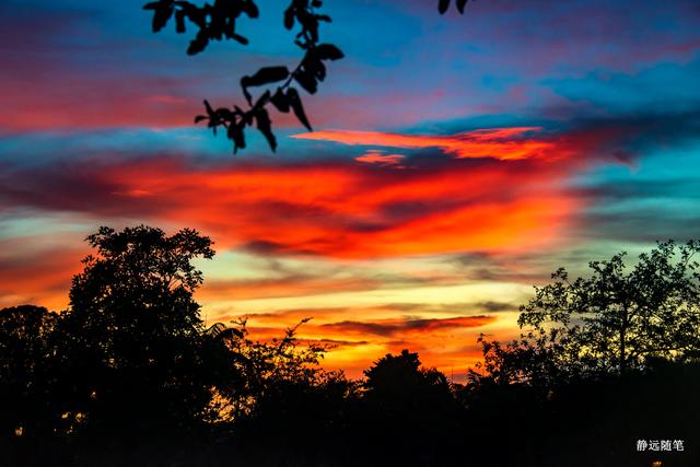 邮轮游记加勒比海,加勒比海邮轮旅游游记