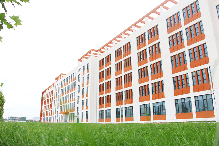 向上突破向下扎根,长城高级中学高二成绩