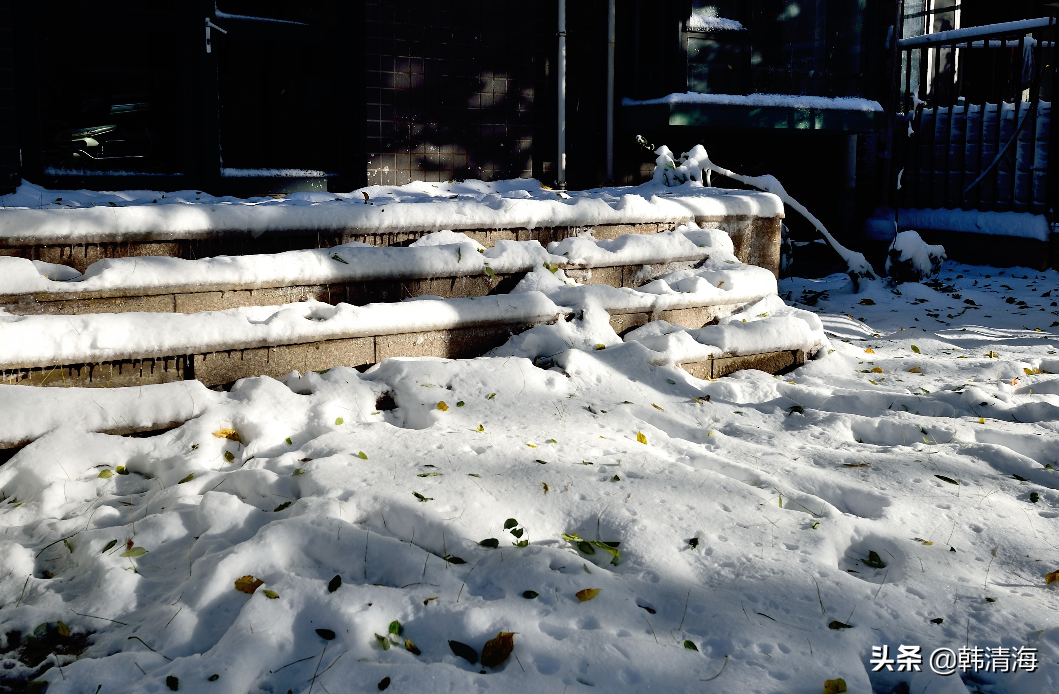 天津2022年雪景,天津第一场雪的美景