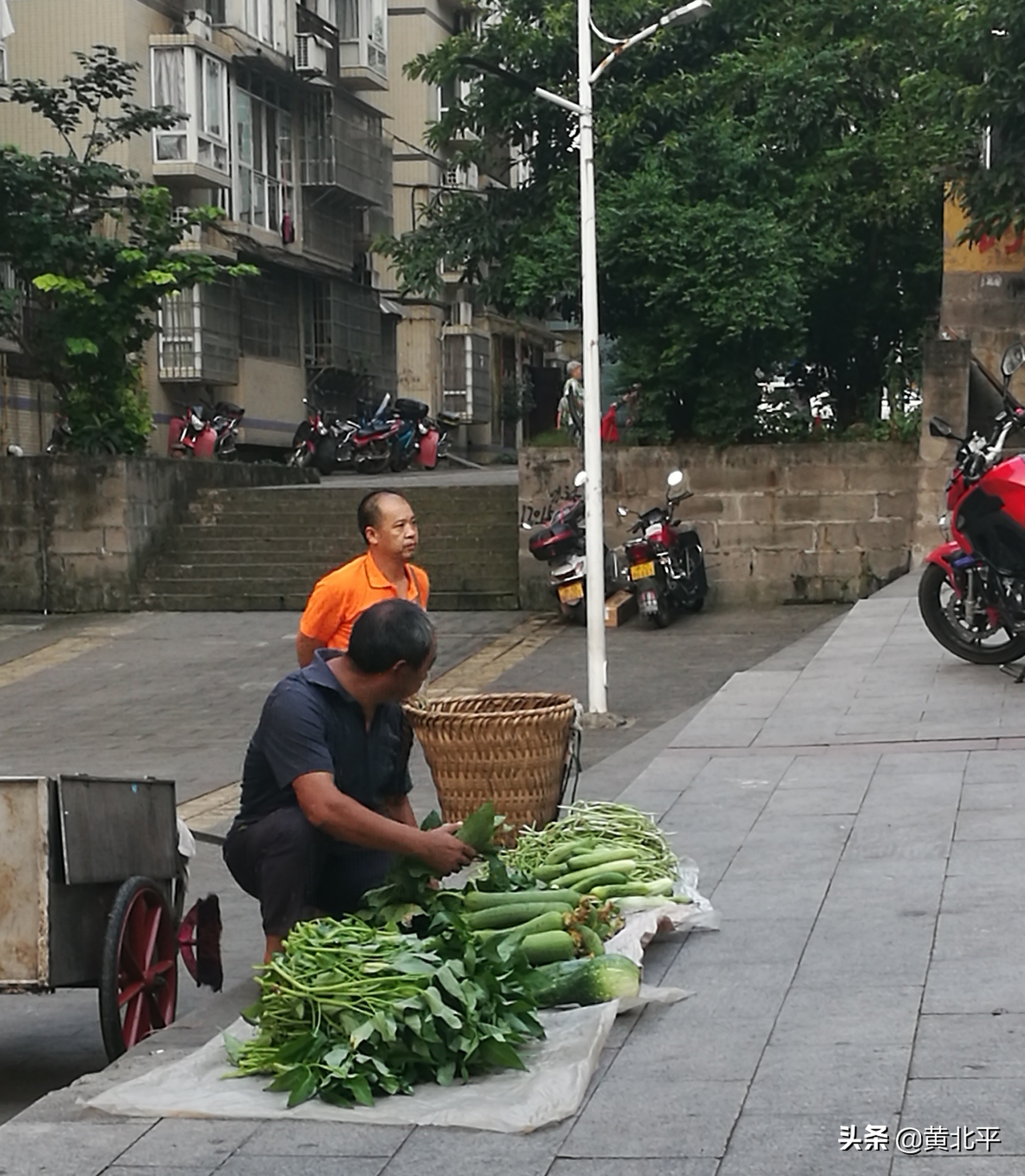 重庆市綦江区三江街道,重庆市綦江区三江街道全景