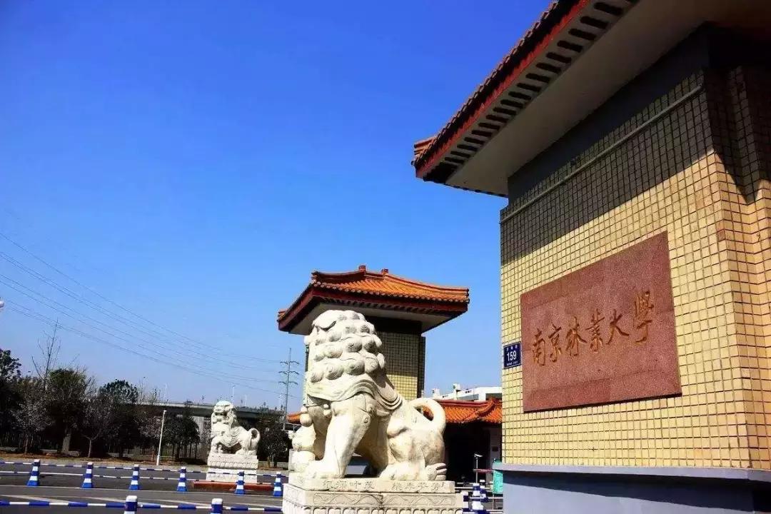 27所大学王牌专业就业不输清北,985高校最好就业的王牌专业