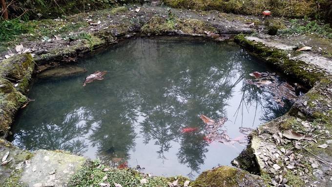 大邑八景,大邑高山古城游玩攻略
