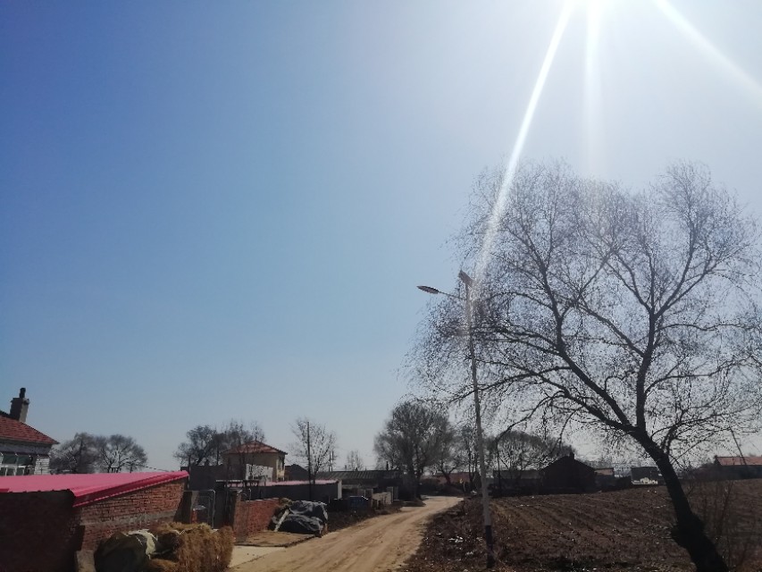 婆婆跟孙子孙女不亲,婆婆不和儿媳妇说实话还要来往吗