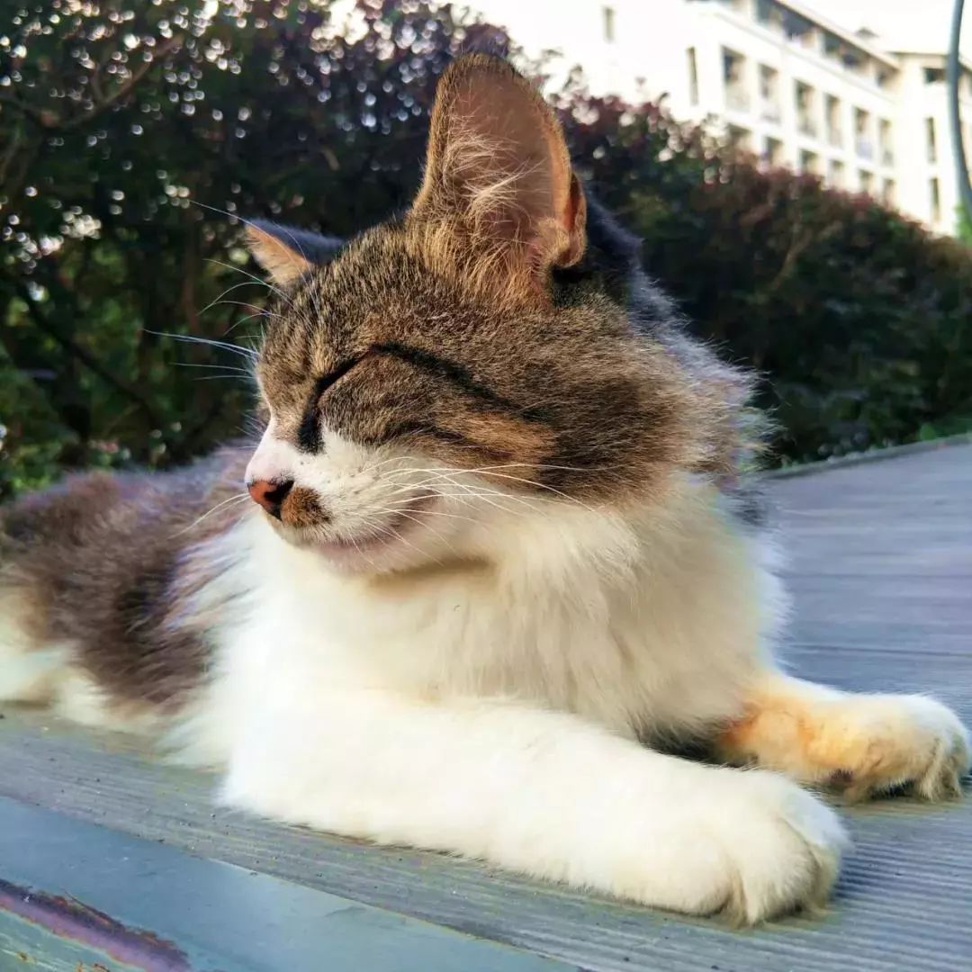 苏州工艺美院,苏州工艺美院代码