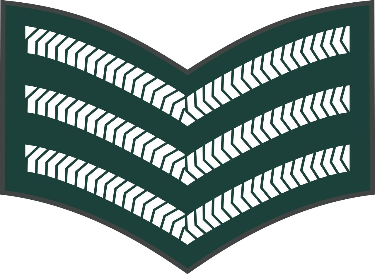 西亚各国军衔,各国军衔标识坦桑尼亚