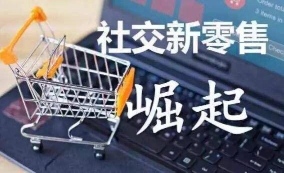 社交电商与传统电商区别,社交电商和网店的区别