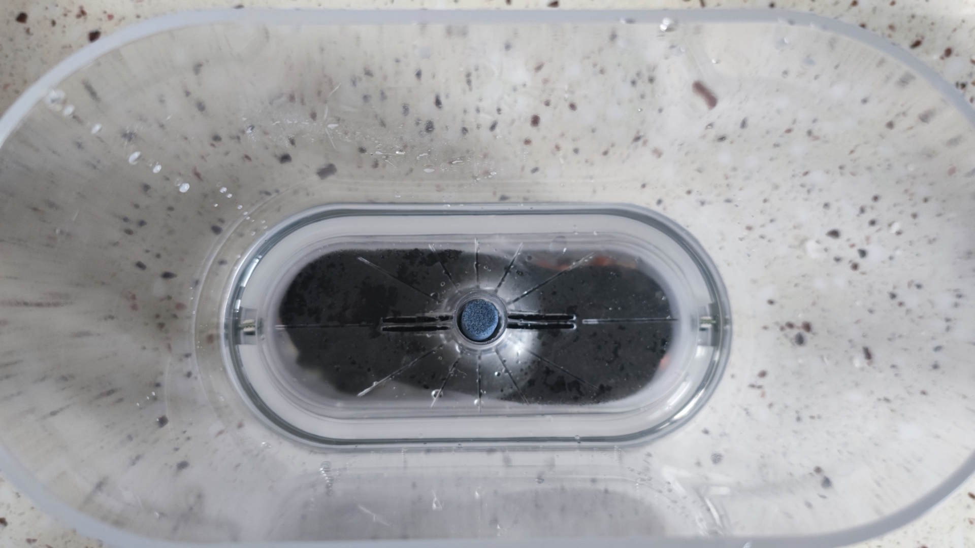 透明小型鱼缸可以养鱼吗,小型鱼缸养鱼知识