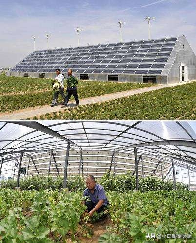 国家对光伏农光互补的政策,友阳光伏