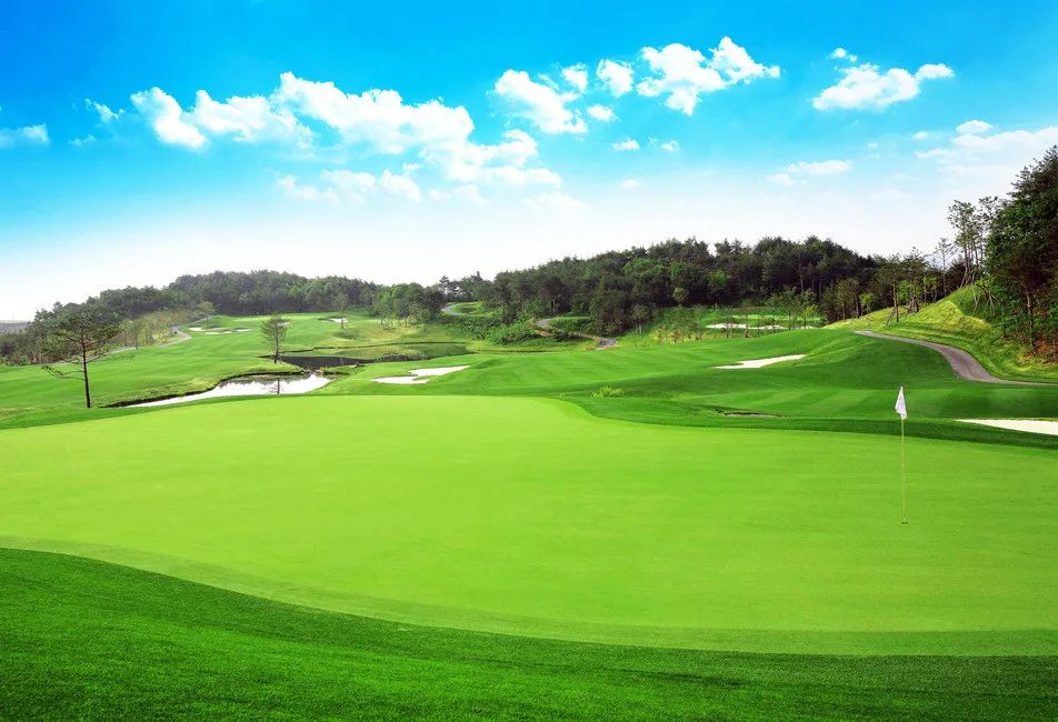 「内部泄密」最近一个月成交量最高的十大树种排行榜