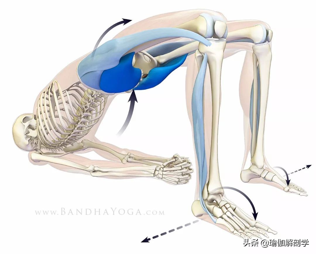 练瑜伽不会盘腿怎么办,练瑜伽髋不正位怎么办