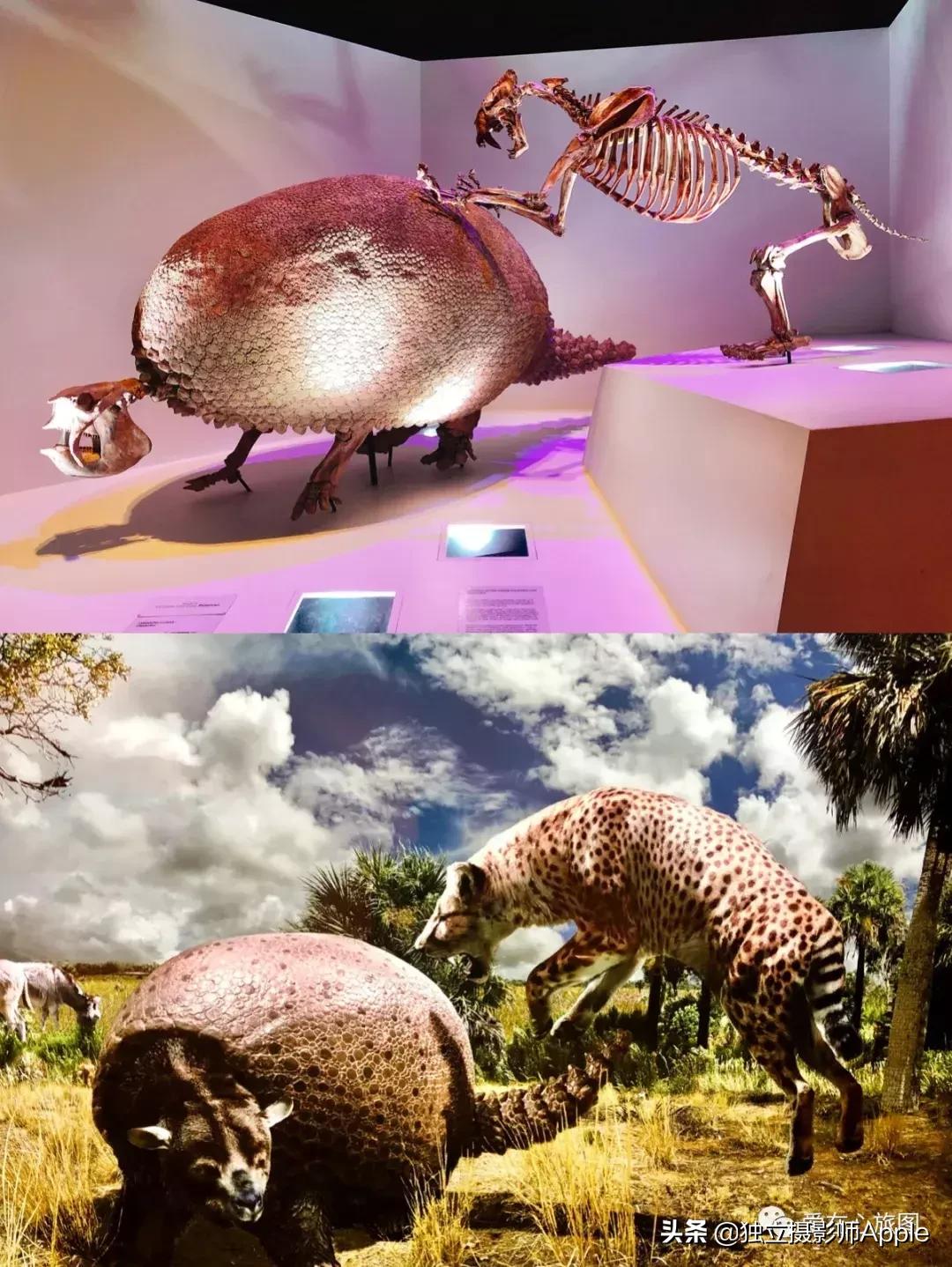 请收下这份美好生活攻略,请收下这份旅游攻略