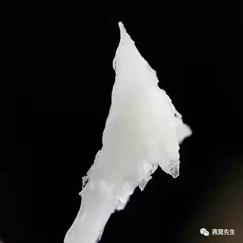 燕盏燕条燕角碎燕哪个营养好些,燕盏燕角和燕碎的区别