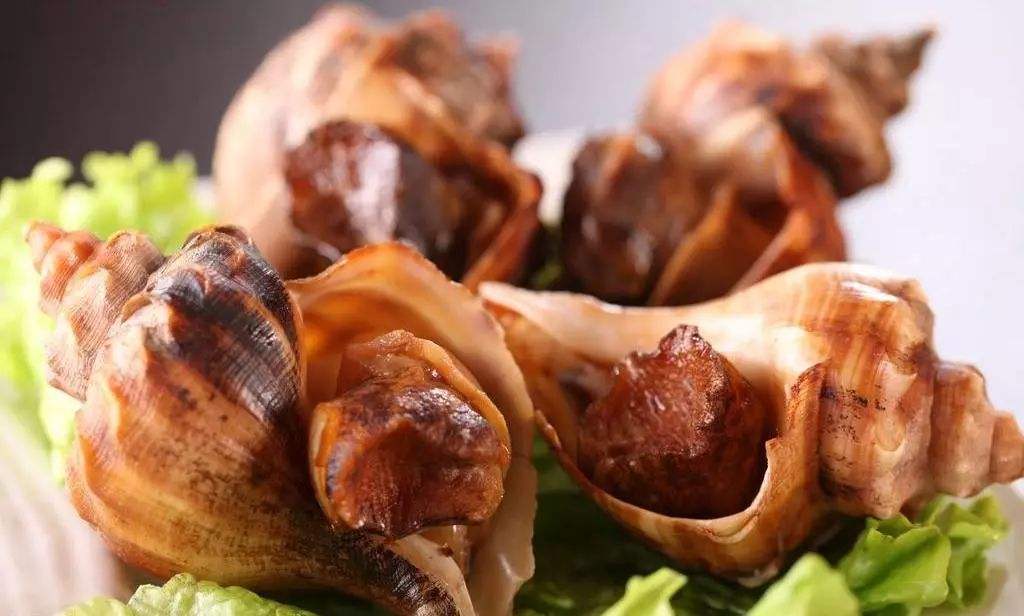 记住“冷蟹热鱼，凉贝温锅虾”，看到海鲜不用愁，人人夸你是大厨