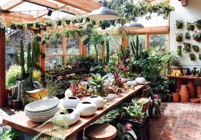 开一家植物美学小店,开一家属于自己的花店