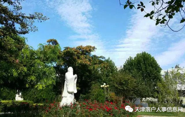 宝坻一中前多少名可以上985,宝坻一中是天津市重点高中吗