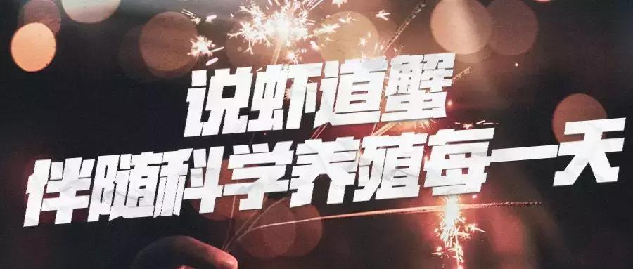 小龙虾养殖前景和市场分析,小龙虾养殖前景及市场分析