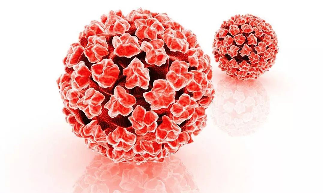提醒：若感染HPV，身体多数会有4种“异常”，如果没有，值得恭喜