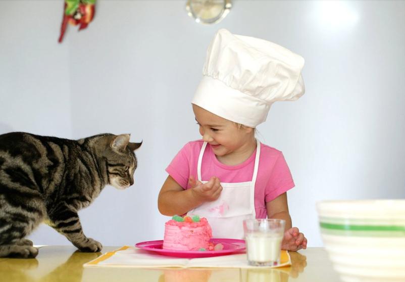 猫咪吃猫毛对它的身体有危害吗,小猫吃猫砂对猫咪有什么危害