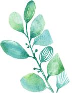 打折又送礼|国际睡眠日梦洁宝贝罗莱儿童给你好睡眠