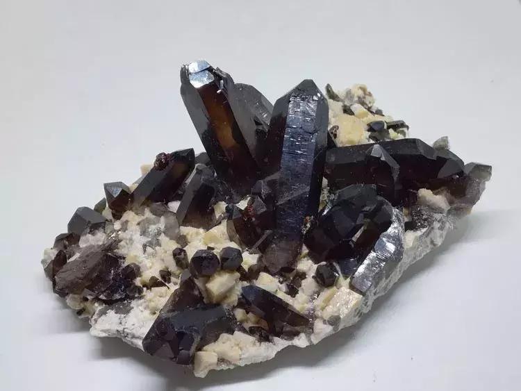 快来围观石英家族，颜值爆表